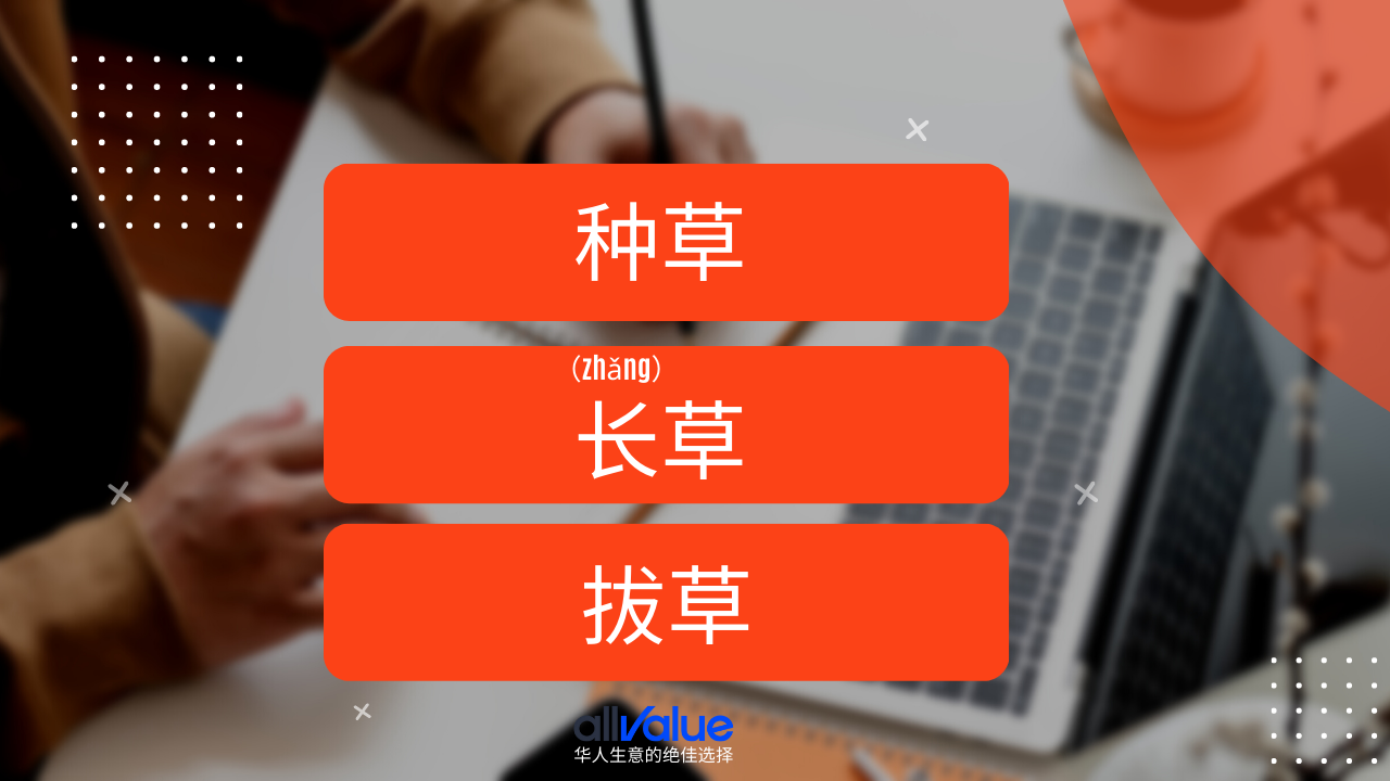 內(nèi)容與商業(yè)相遇：小紅書，2023海外華人商家一定要抓住的商業(yè)風(fēng)向