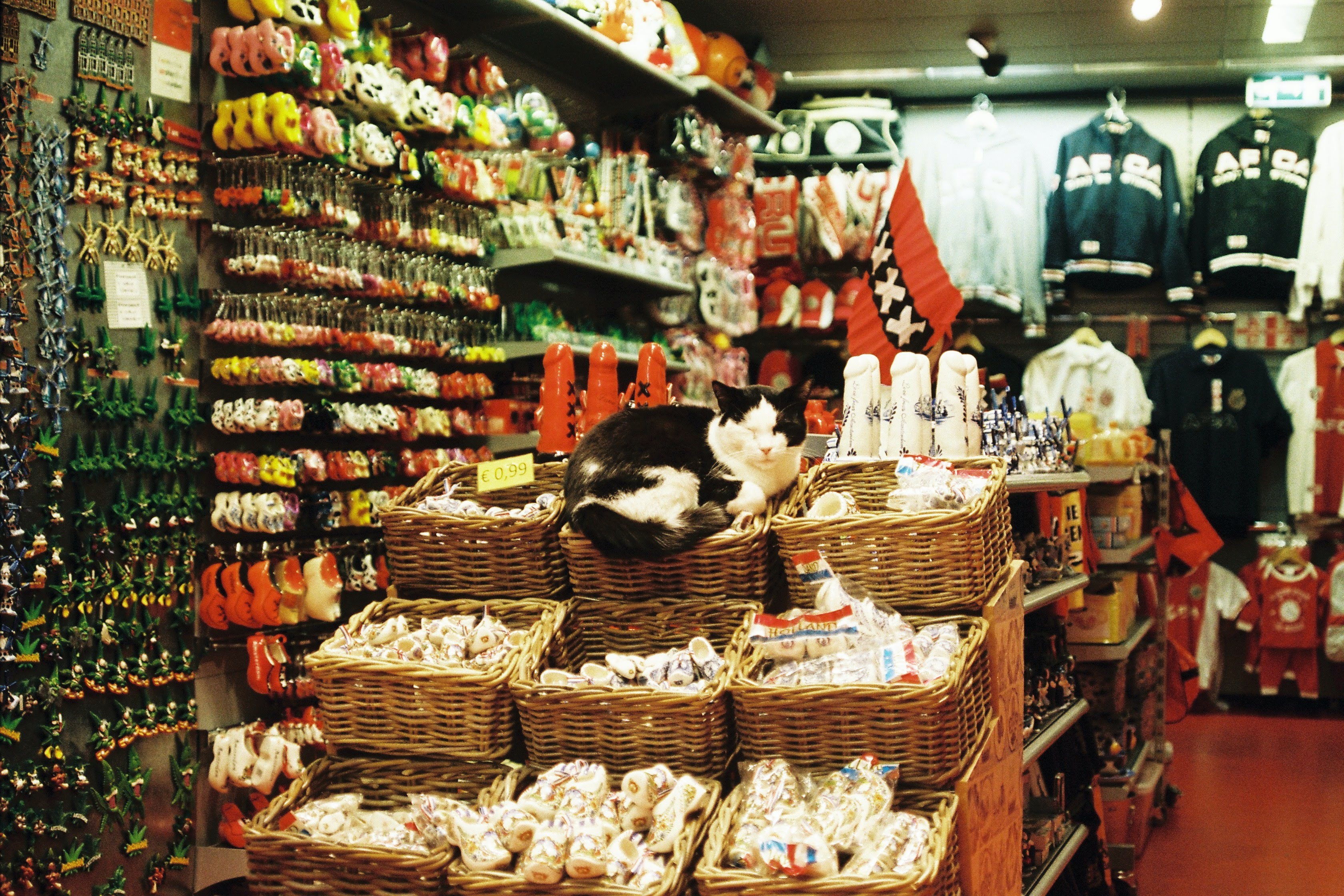如何在海外開(kāi)設(shè)一家成功的寵物用品店？